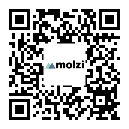 Molzi Corporate website